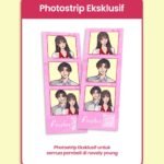 novel fireflies kil bukune gratis biaya packing