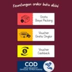 novel lotus of lies michelle young