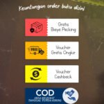 novel the case audie blackswan books gratis biaya packing