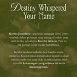 novel destiny whispered your name crescentwane loveable gratis biaya packing